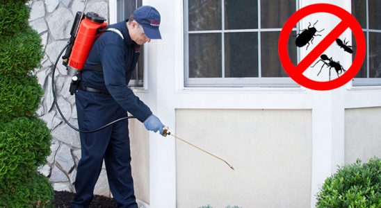 Alaca Hamam Böceği İlaçlama böcek ilaçlama ve haşere kontrolü — ilaclama-tr.com